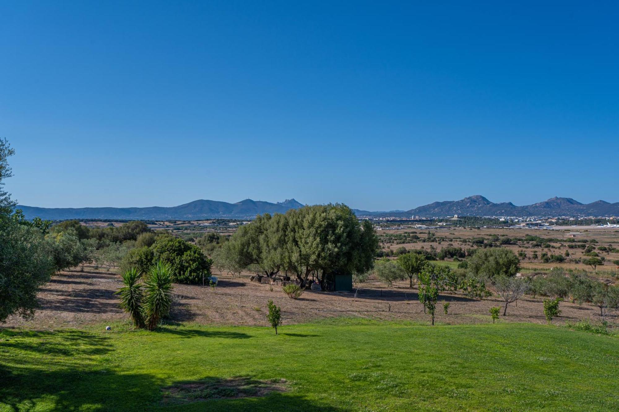 Villa Patrizia-Luxury House Olbia Eksteriør bilde